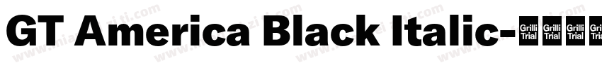 GT America Black Italic字体转换